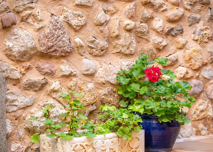 Casa Romana بيت للعطل *